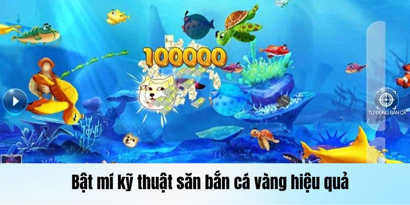 Bật mí kỹ thuật săn bắn cá vàng hiệu quả